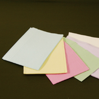 Premium Patient Bibs, 2ply